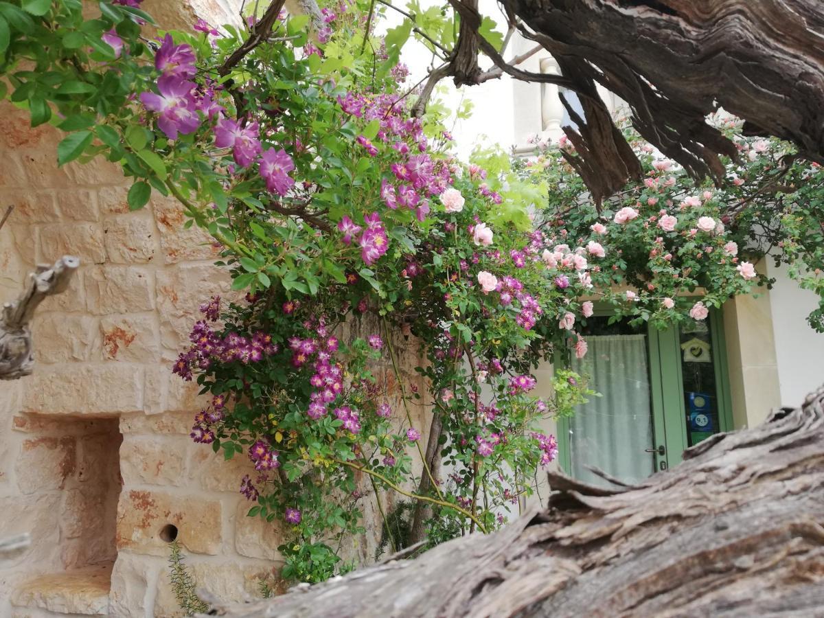 B&B Giovannarolla Green House Ostuni Exterior foto