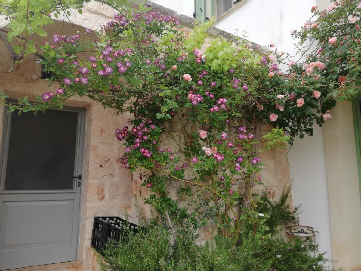 B&B Giovannarolla Green House Ostuni Exterior foto