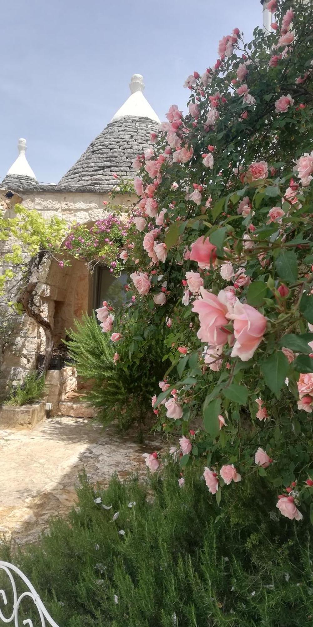 B&B Giovannarolla Green House Ostuni Exterior foto