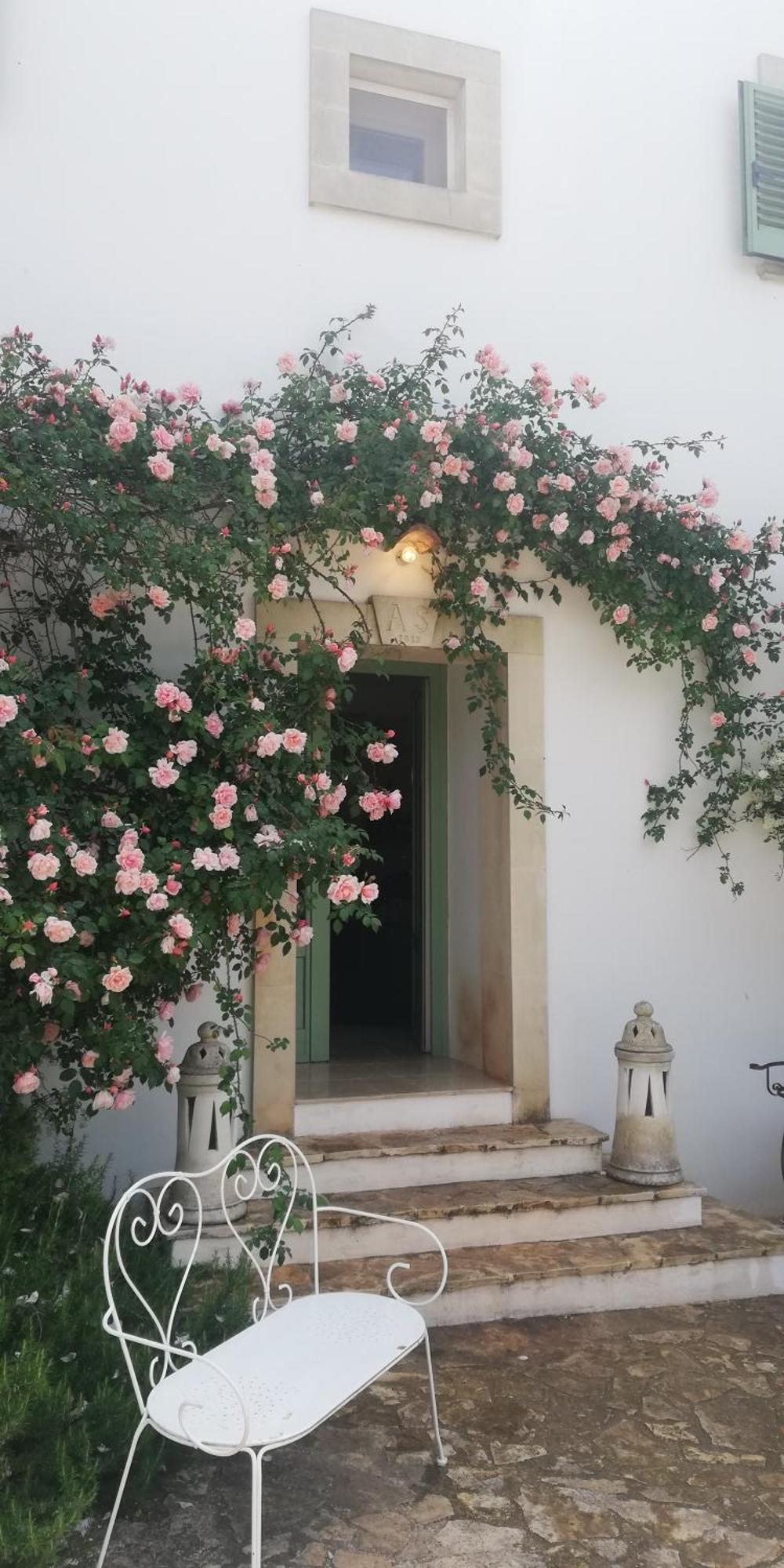 B&B Giovannarolla Green House Ostuni Exterior foto