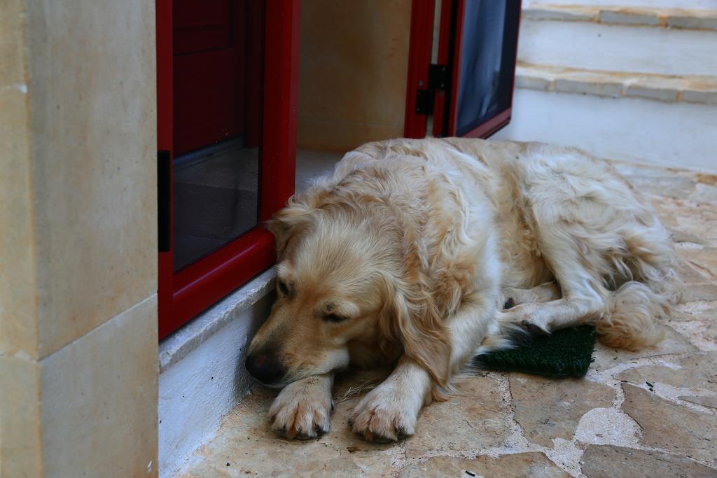 B&B Giovannarolla Green House Ostuni Exterior foto